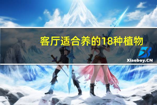 客厅适合养的18种植物