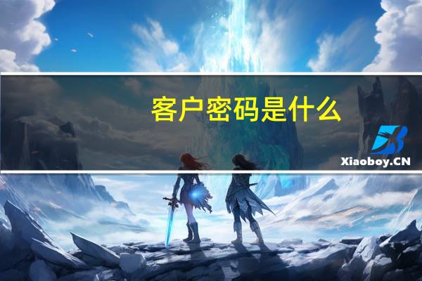 客户密码是什么