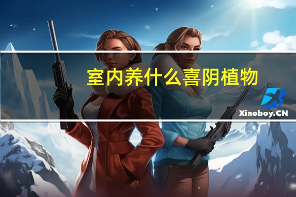 室内养什么喜阴植物