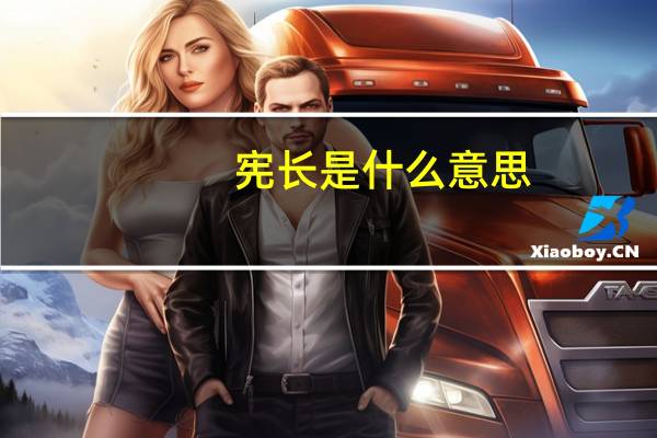 宪长是什么意思