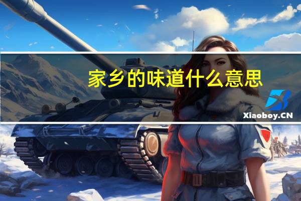 家乡的味道什么意思