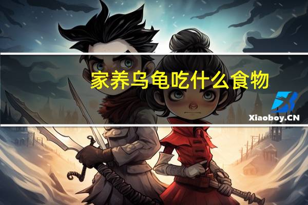 家养乌龟吃什么食物