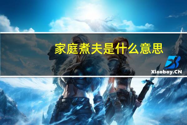 家庭煮夫是什么意思