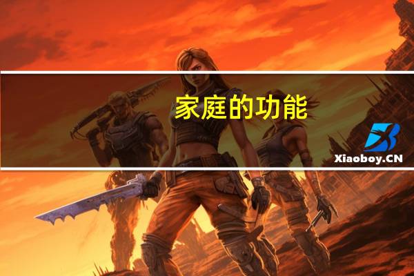 家庭的功能