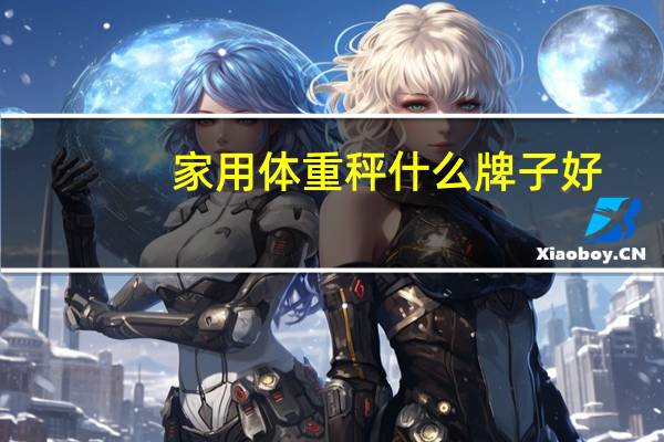 家用体重秤什么牌子好