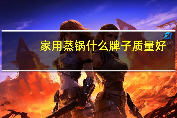 家用蒸锅什么牌子质量好