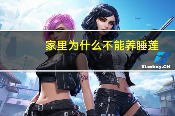 家里为什么不能养睡莲