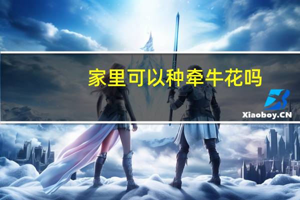 家里可以种牵牛花吗