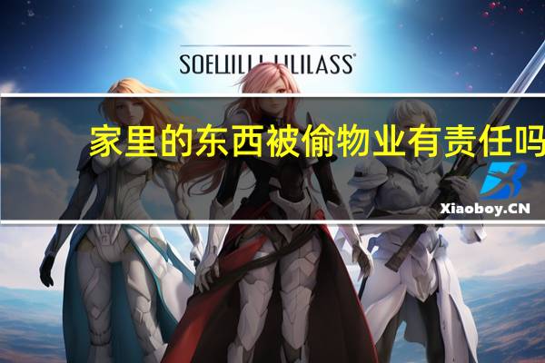 家里的东西被偷物业有责任吗