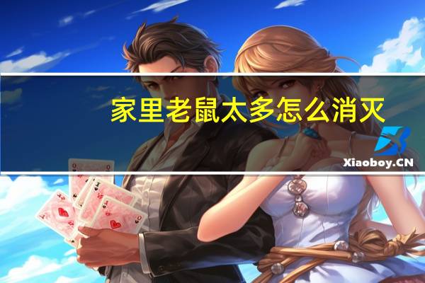 家里老鼠太多怎么消灭