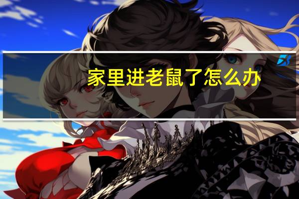 家里进老鼠了怎么办