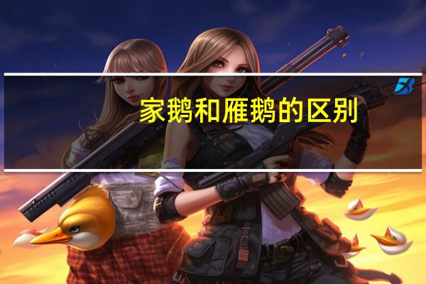 家鹅和雁鹅的区别