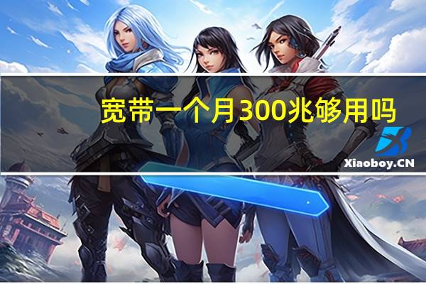 宽带一个月300兆够用吗