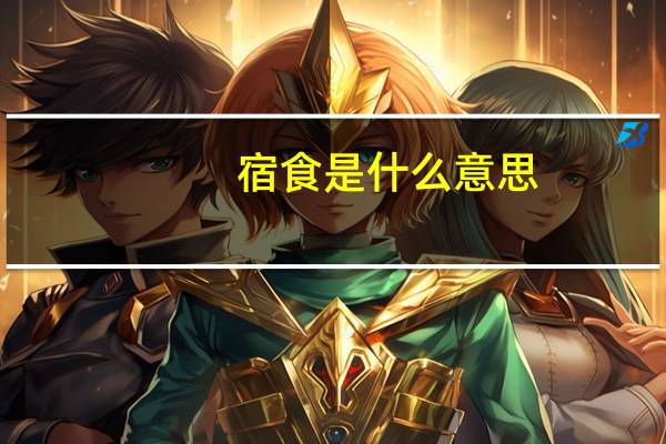 宿食是什么意思