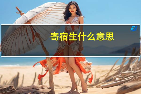 寄宿生什么意思