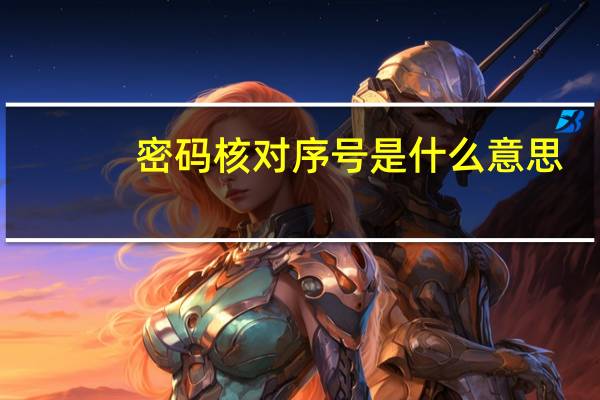 密码核对序号是什么意思