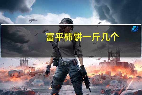 富平柿饼一斤几个