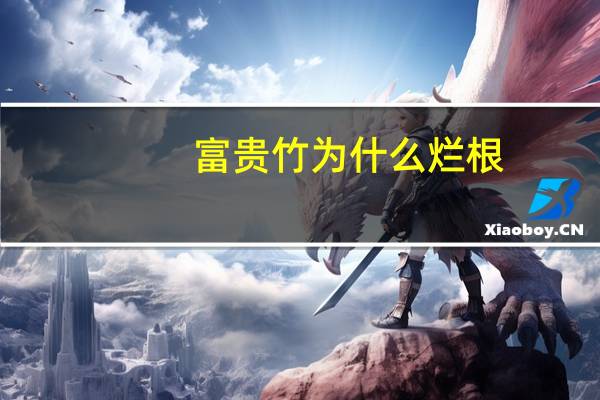 富贵竹为什么烂根