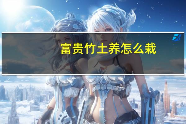 富贵竹土养怎么栽