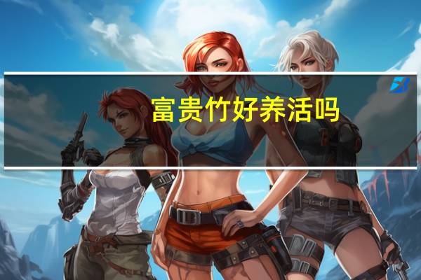 富贵竹好养活吗