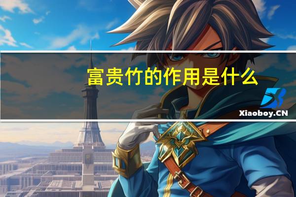 富贵竹的作用是什么