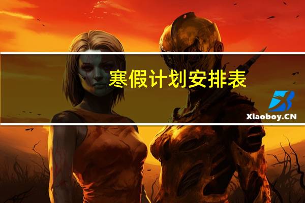 寒假计划安排表