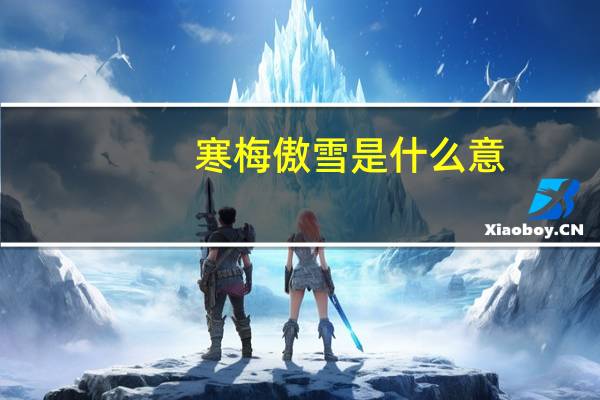 寒梅傲雪是什么意