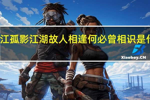 寒江孤影江湖故人相逢何必曾相识是什么意思