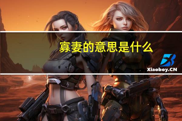 寡妻的意思是什么