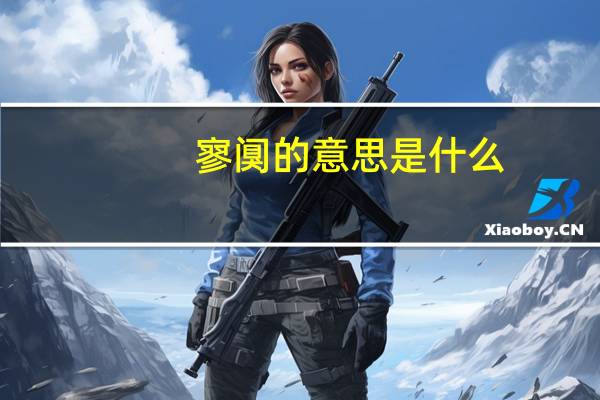 寥阒的意思是什么