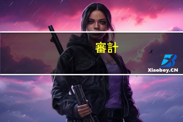 審計(jì)報(bào)表包括什么內(nèi)容