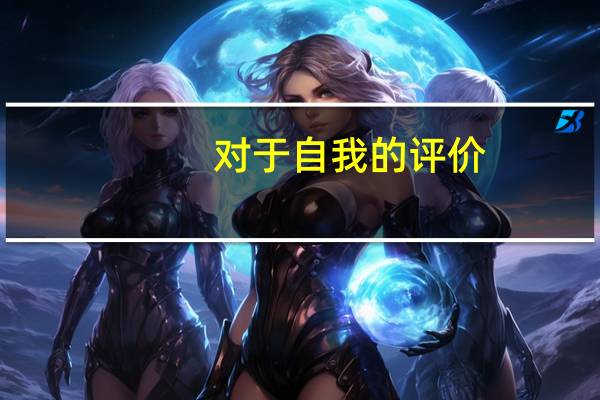 对于自我的评价