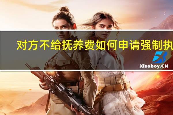 对方不给抚养费如何申请强制执行
