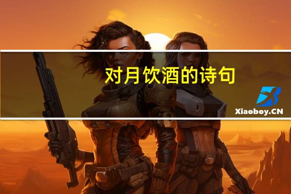 对月饮酒的诗句