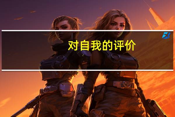 对自我的评价