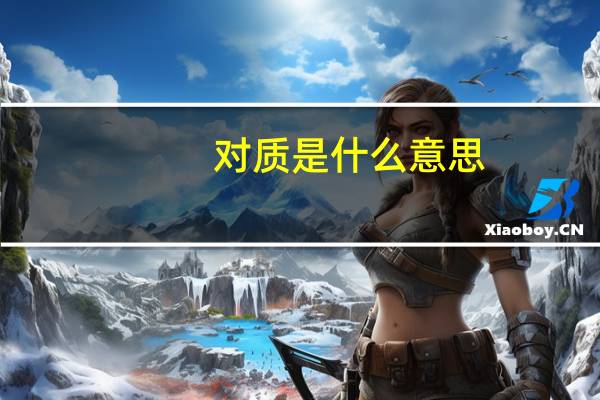 对质是什么意思