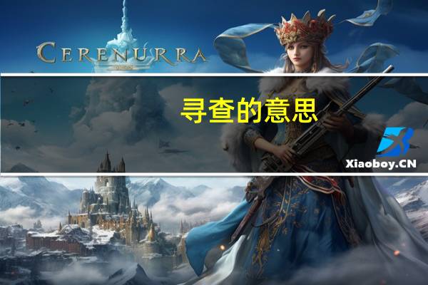 寻查的意思