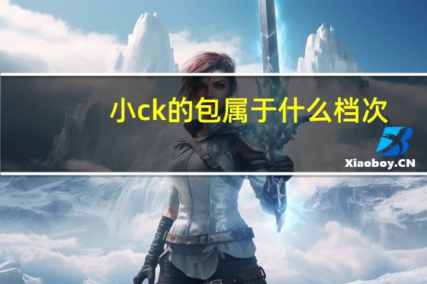小ck的包属于什么档次