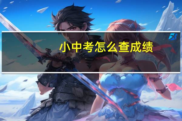 小中考怎么查成绩