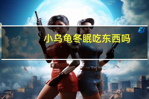 小乌龟冬眠吃东西吗