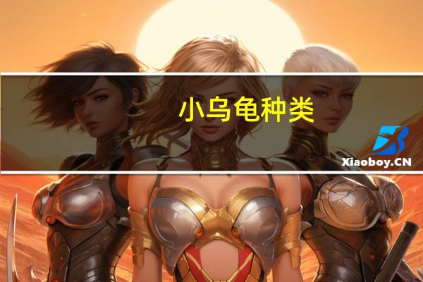 小乌龟种类