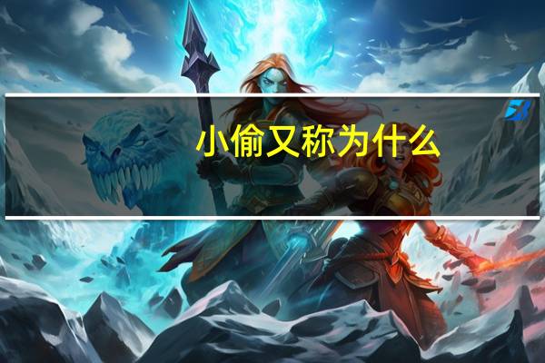 小偷又称为什么