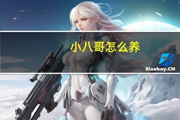 小八哥怎么养