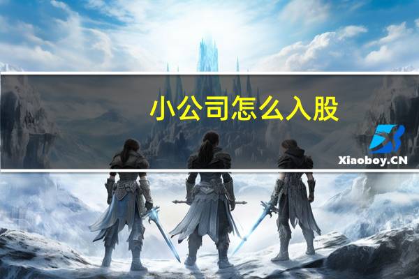 小公司怎么入股