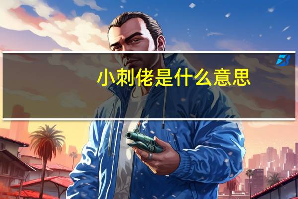 小刺佬是什么意思