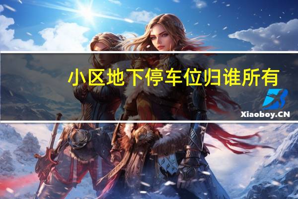 小区地下停车位归谁所有