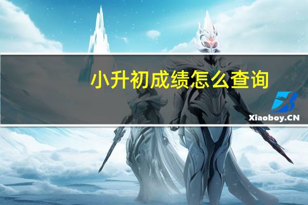 小升初成绩怎么查询