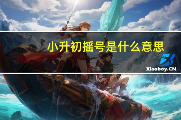 小升初摇号是什么意思