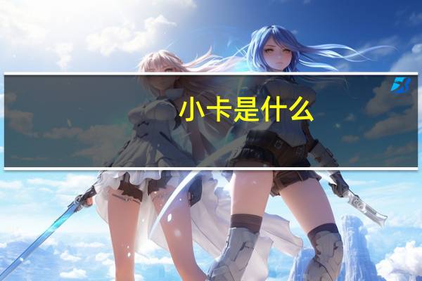 小卡是什么