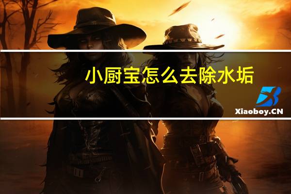 小厨宝怎么去除水垢